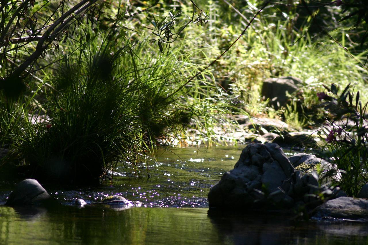 Camping La Brena Hotel Almodovar del Rio Luaran gambar